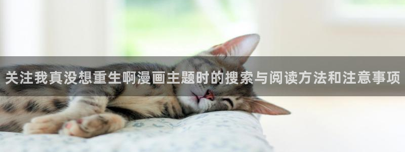 漫画免费看漫画搜索:关注我真没想重生啊漫画主题时的搜索与阅读方法和注意事项