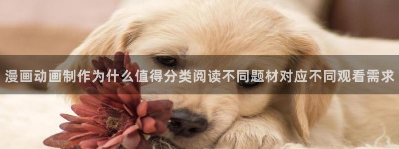 漫画免费看最新漫画大全：漫画动画制作为什么值得分类阅读不同题材对应不同观看需求